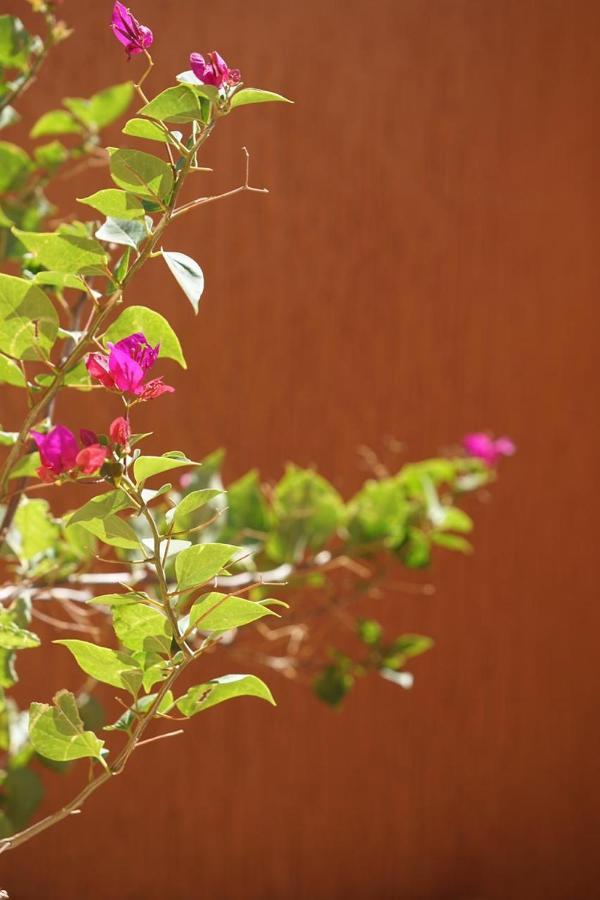 Berber Nomad Kasbah Bed and Breakfast Nkob Εξωτερικό φωτογραφία